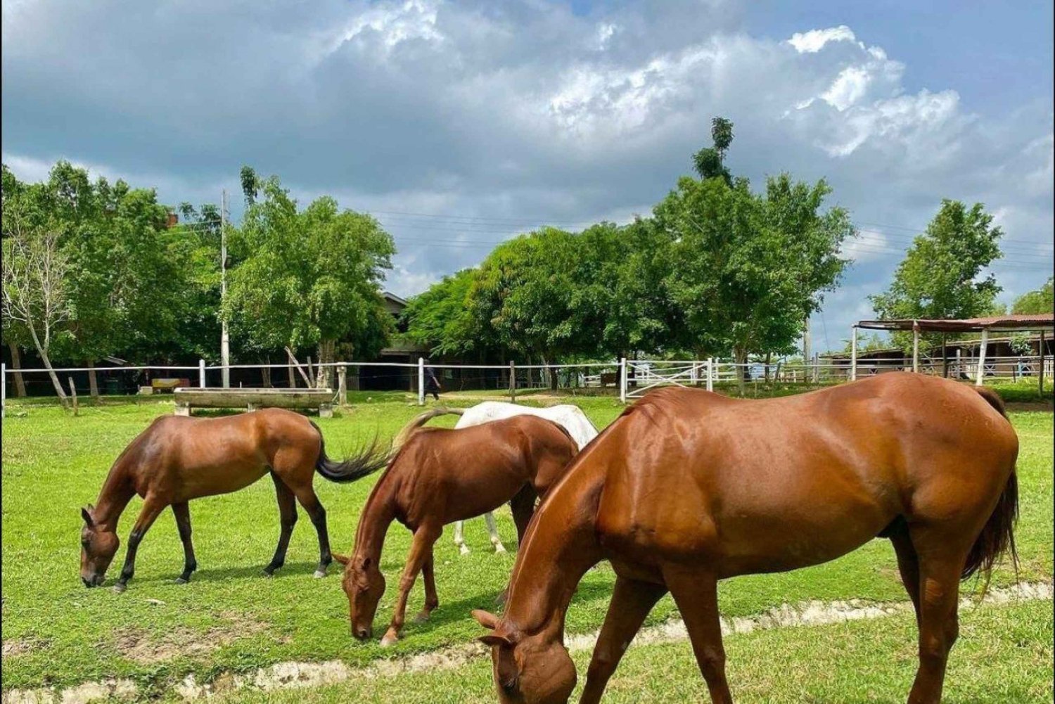 Abuja - Day Trip to Almat Farms