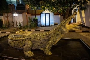 Abuja: Visita ao Museu da Descoberta com serviço de busca no hotel