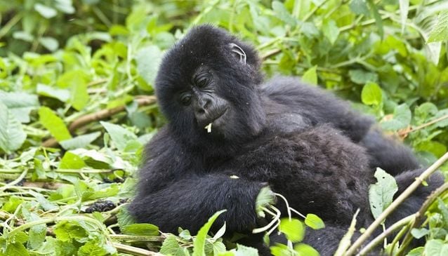 national parks in nigeria