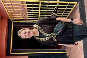 From Accra: 12-Day Ghana, Togo, Benin & Nigeria Guided Tour