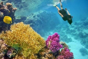 Hurghada: Red Sea Snorkeling Day Tour with Lunch and Yacht