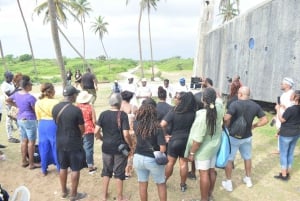 Lagos: Tour Detty December de 5 dias com concertos e praias
