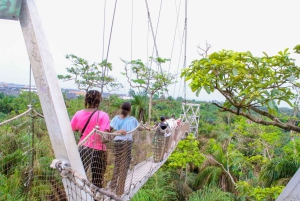 Lagos: Visita guiada al Centro de Conservación de Lekki (LCC)