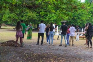 Lagos: Visita guiada al Centro de Conservación de Lekki (LCC)