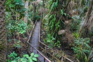 Lagos: Visita guiada al Centro de Conservación de Lekki (LCC)