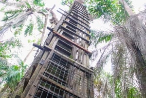 Lagos: Visita guiada al Centro de Conservación de Lekki (LCC)