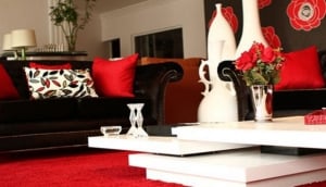 Selective Interior and Accessories
