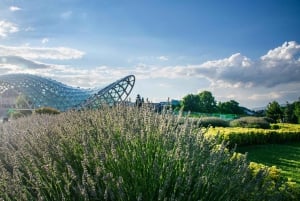 Tbilisi: Streets, Stories, Flavors - A Signature City Tour