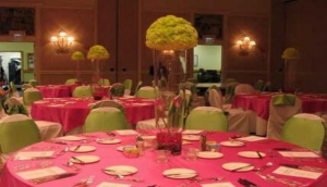 Tito Cakes and Events