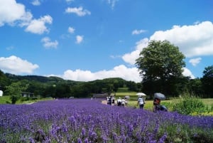 Tokyo: escursione panoramica di un giorno a Gunma con raccolta di frutta e pranzo a base di granchio