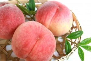 Tokyo: escursione panoramica di un giorno a Gunma con raccolta di frutta e pranzo a base di granchio
