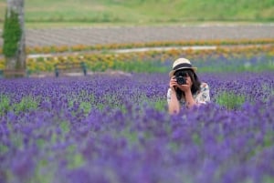 Tokyo: escursione panoramica di un giorno a Gunma con raccolta di frutta e pranzo a base di granchio