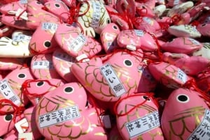 Tokyo: escursione panoramica di un giorno a Gunma con raccolta di frutta e pranzo a base di granchio
