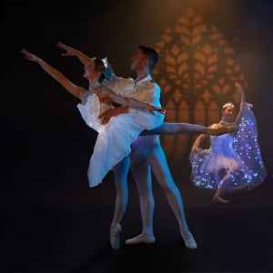 Nós Chamamos de Ballet: A Bela Adormecida em um Espetáculo de Luzes Encantador