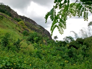 Idanre Hills
