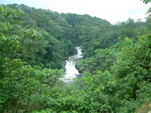Kwa Falls Cross River