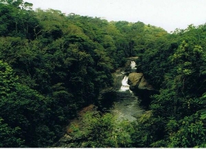 Kwa Falls Cross River