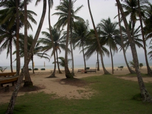 La Campagne Tropicana