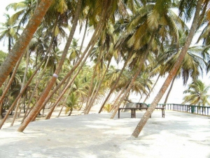 La Campagne Tropicana