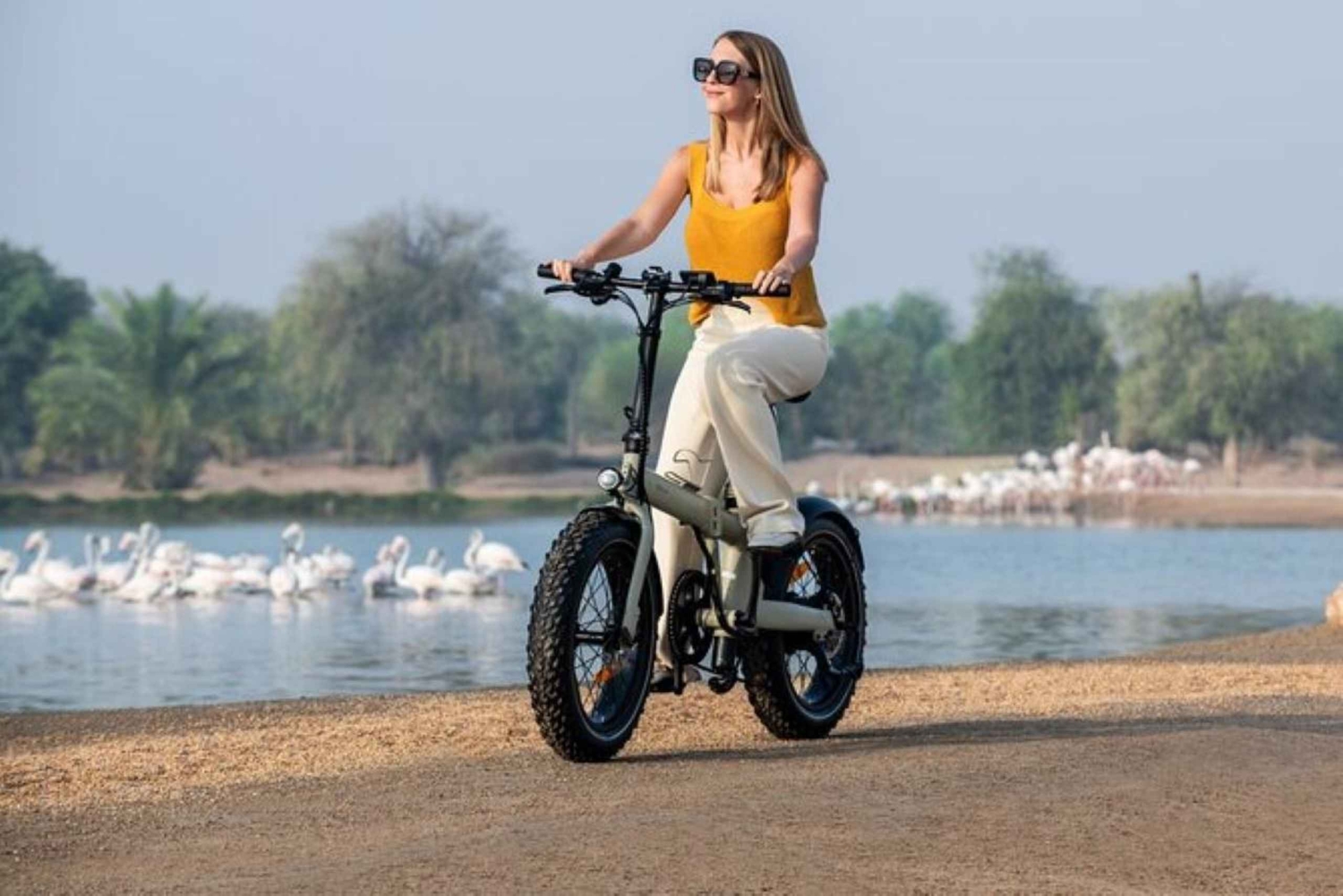 electric bicycle dubai Bicycles: Sporting Goods Electric Fat Bike Desert Experience