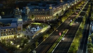 Turtle at Al Jinz Reserve