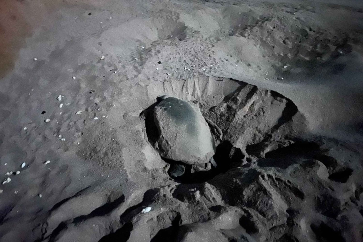 2-дневное приключение в Омане: Вади Шаб, черепахи и пустыня