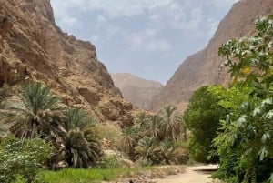 2 Tage, 1 Nacht in Wahiba Sands, Private Tour