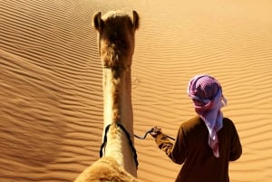 2 Tage und 1 Nacht Private Wahiba Sands Desert Tour