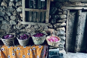 3-Day Oman Highlights Group Tour