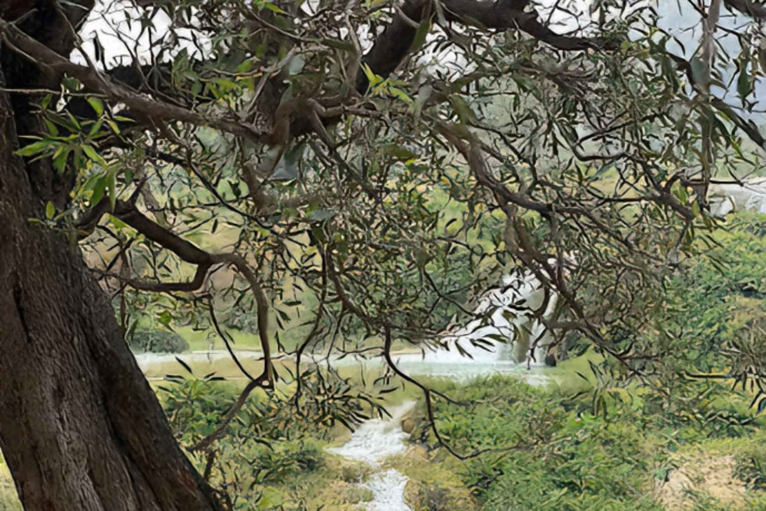 3-dniowa wycieczka do Salalah| wschód/zachód + pustynne safari