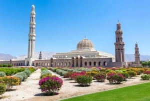 4 hour private tour of Muscat