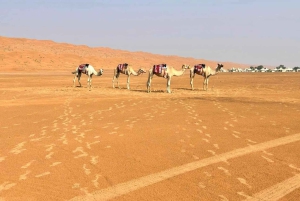 سفاري صحراء غروب الشمس الفاخرة في صلالة وربع الخالي