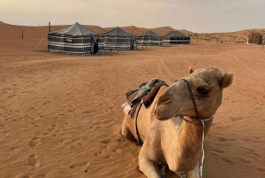 سفاري صحراء غروب الشمس الفاخرة في صلالة وربع الخالي