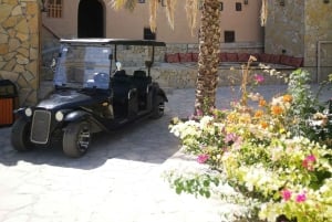 جولة العربة الثقافية في قرية العقور