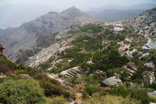 Al Azure Tours