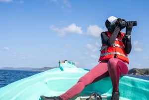 vogels spotten en snorkelen op al fahal island