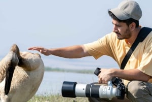 vogels spotten en snorkelen op al fahal island