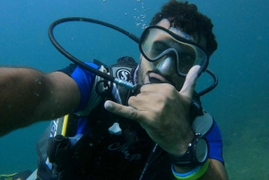 al fahal island scuba diving adventure