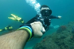 aventura de mergulho na ilha al fahal
