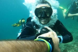 al fahal island scuba diving adventure
