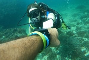 avventura subacquea sull'isola di al fahal