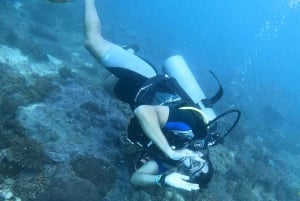 aventura de mergulho na ilha al fahal