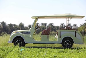 Visite de la charrette Al Hamra