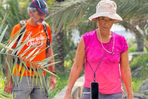 Al Hamra: Guided Cycling Tour with Local Irrigation System