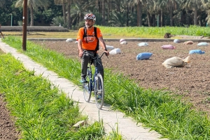 Al Hamra: Guided Cycling Tour with Local Irrigation System