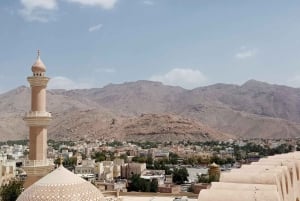 Visite d'une jounée d'Amouage et de Nizwa : Fort, Souq et Barakat Al Mouz