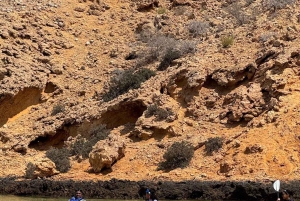 宿泊を伴うデイマニヤット諸島へのキャンプ
