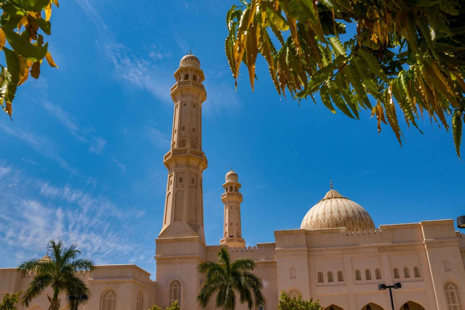 Stadtführung: Entdecke Salalahs Schätze mit einem ortskundigen Guide