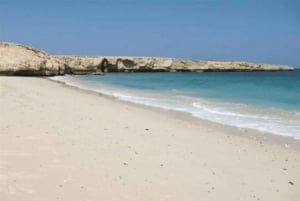 From Muscat: Wadi Al Arbaeen, Fins & Bimmah Coastal Tour