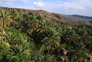 From Muscat: Wadi Al Arbaeen, Fins & Bimmah Coastal Tour